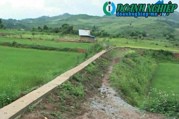 Image of List companies in Na Tong Commune- Dien Bien District- Dien Bien