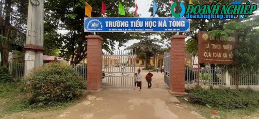 Ảnh về Doanh nghiệp tại Xã Nà Tòng- Huyện Tuần Giáo- Điện Biên