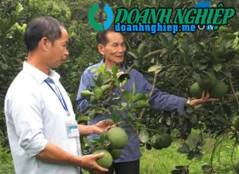 Image of List companies in Hung Thinh Commune- Tran Yen District- Yen Bai