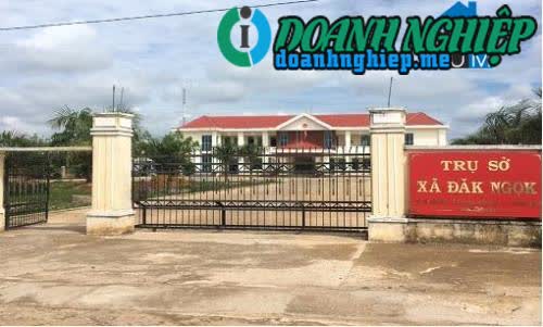 Image of List companies in Dak Ngok Commune- Dak Ha District- Kon Tum
