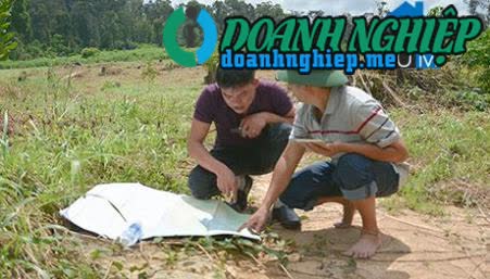 Image of List companies in Ia Dal Commune- Ia H'Drai District- Kon Tum