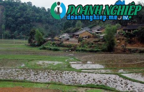 Image of List companies in Hoang Van Thu Commune- Van Lang District- Lang Son