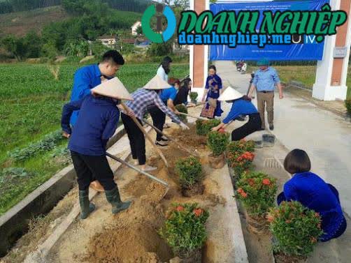 Image of List companies in Dan Chu Commune- Ha Long City- Quang Ninh