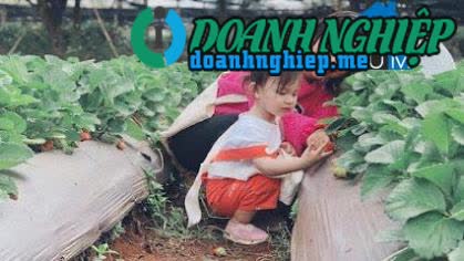 Image of List companies in K' Dang Commune- Dak Doa District- Gia Lai