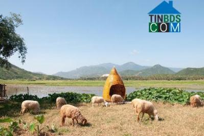 Image of List companies in Nghia Thuan Commune- Thai Hoa Town- Nghe An