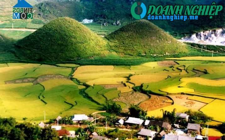 Ảnh về Doanh nghiệp tại Long An