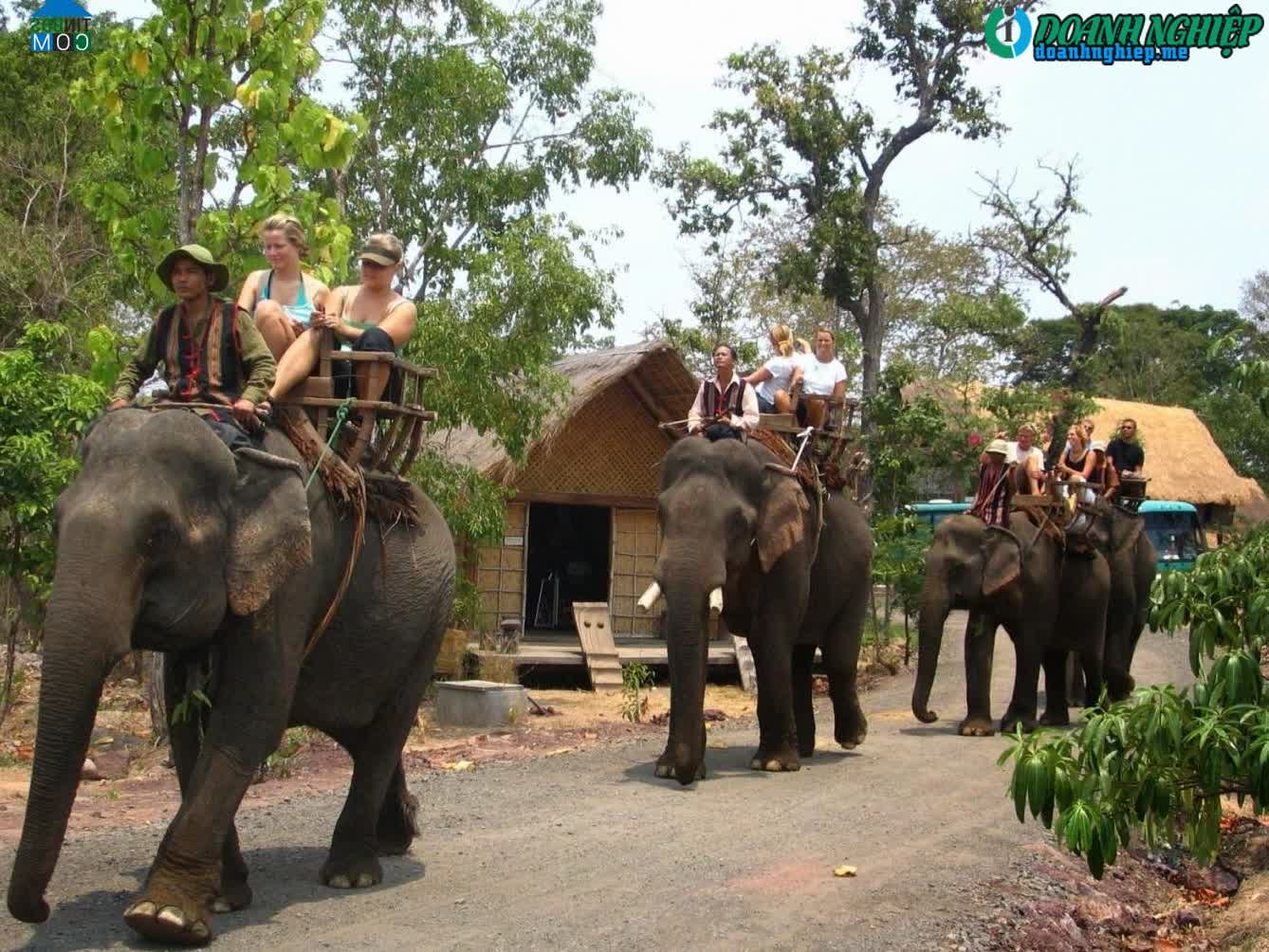 Image of List companies in Phuoc An Town- Krong Pac District- Dak Lak