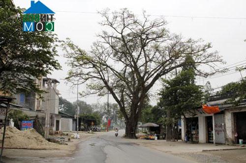 Image of List companies in Lam Dien Commune- Chuong My District- Ha Noi