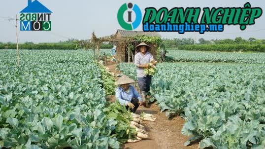 Image of List companies in Van Duc Commune- Gia Lam District- Ha Noi