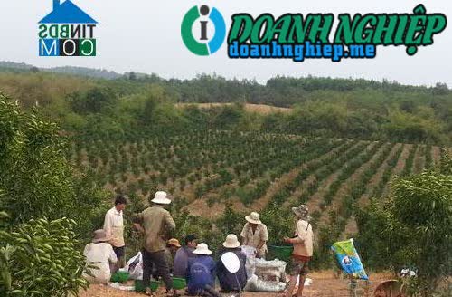 Image of List companies in Hieu Liem Commune- Tan Uyen Town- Binh Duong