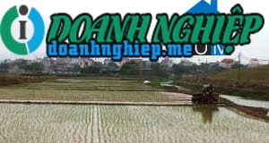 Ảnh về Doanh nghiệp tại Xã Nam Hưng- Huyện Nam Sách- Hải Dương