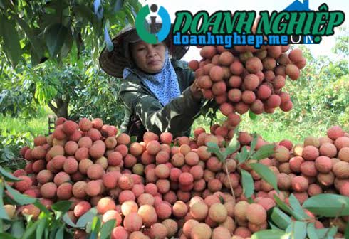 Image of List companies in Thanh Khe Commune- Thanh Ha District- Hai Duong