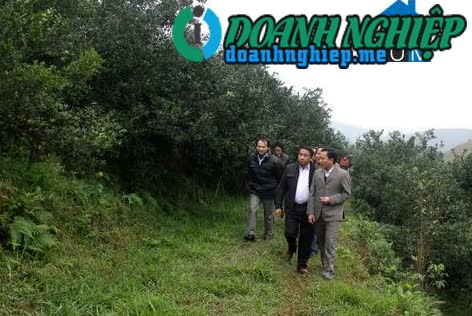 Image of List companies in Son Mai Commune- Huong Son District- Ha Tinh