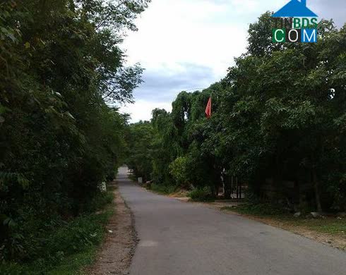 Image of List companies in Ky Phu Commune- Ky Anh District- Ha Tinh