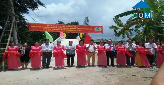 Image of List companies in Hiep Hung Commune- Phung Hiep District- Hau Giang
