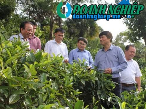 Image of List companies in Trung Thanh Commune- Da Bac District- Hoa Binh