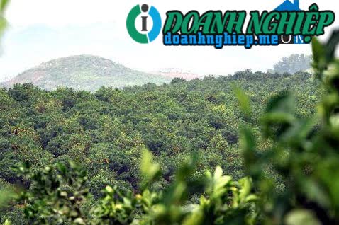Image of List companies in Thu Phong Commune- Cao Phong District- Hoa Binh