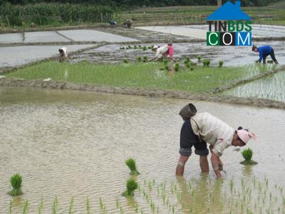 Image of List companies in Khoan Du Commune- Lac Thuy District- Hoa Binh