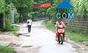 Image of List companies in Lac Long Commune- Lac Thuy District- Hoa Binh