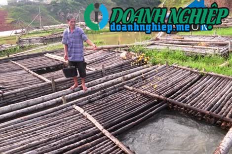 Image of List companies in Phuc San Commune- Mai Chau District- Hoa Binh