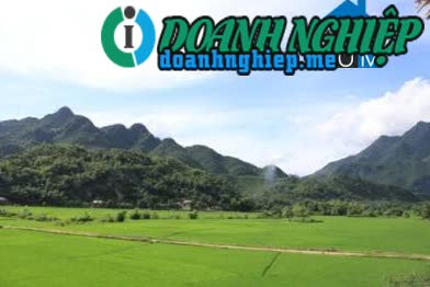 Image of List companies in Tan Son Commune- Mai Chau District- Hoa Binh
