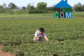 Image of List companies in Ngoc Luong Commune- Yen Thuy District- Hoa Binh