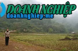 Image of List companies in My Hoa Commune- Tan Lac District- Hoa Binh