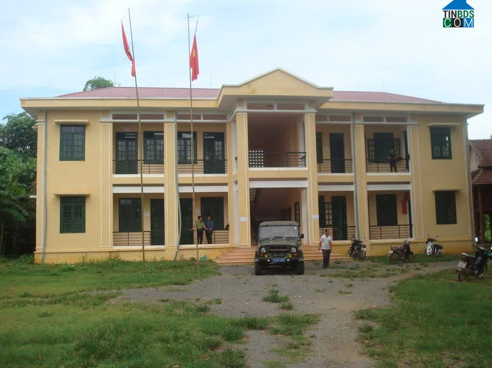 Image of List companies in Thanh Hoi Commune- Tan Lac District- Hoa Binh
