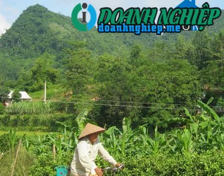 Image of List companies in Bao Hieu Commune- Yen Thuy District- Hoa Binh