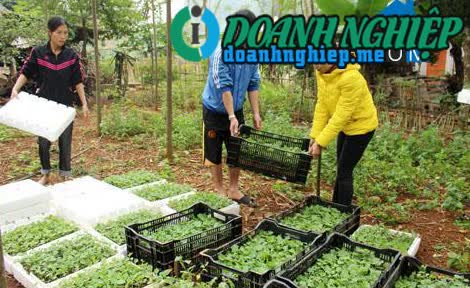Image of List companies in Da Phuc Commune- Yen Thuy District- Hoa Binh