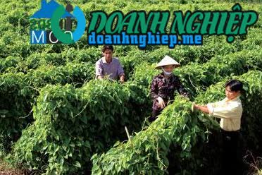 Image of List companies in Binh Minh Commune- Khoai Chau District- Hung Yen