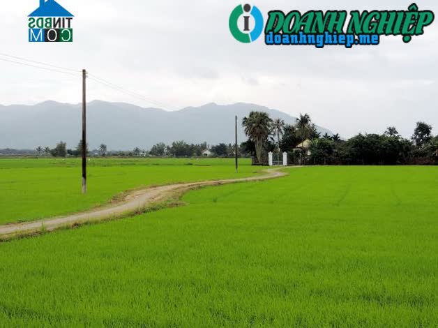 Image of List companies in Dien Binh Commune- Dien Khanh District- Khanh Hoa