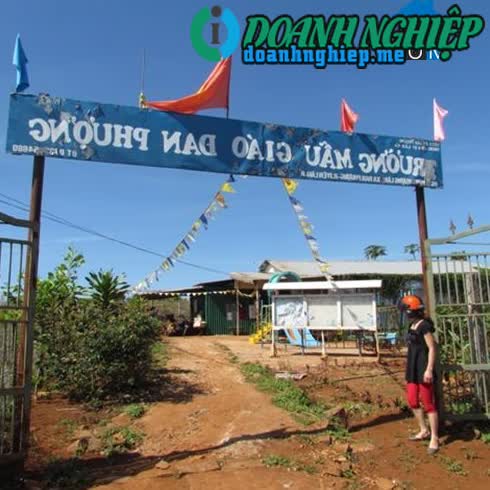 Image of List companies in Dan Phuong Commune- Lam Ha District- Lam Dong