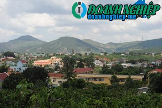 Image of List companies in Nam Ban Town- Lam Ha District- Lam Dong