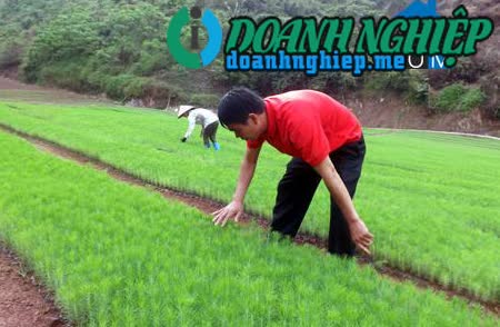 Image of List companies in Dinh Lap Commune- Dinh Lap District- Lang Son