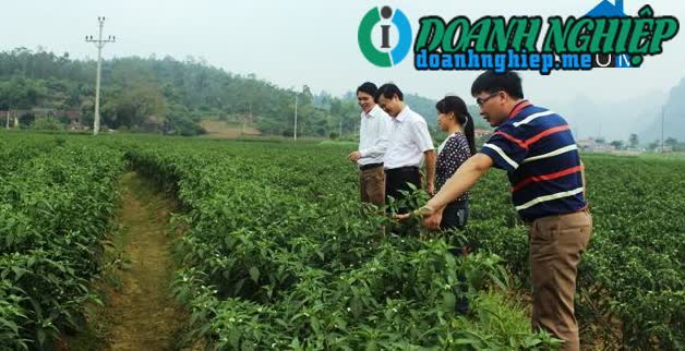Image of List companies in Quang Lang Commune- Chi Lang District- Lang Son