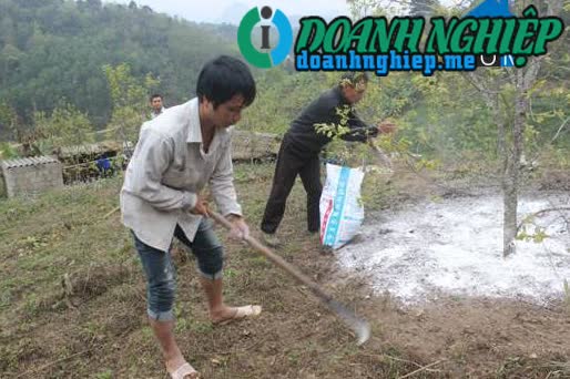 Image of List companies in Hoang Viet Commune- Van Lang District- Lang Son