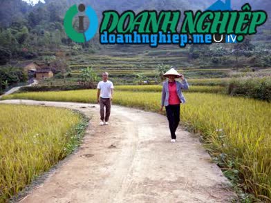 Image of List companies in Phu My Commune- Van Quan District- Lang Son