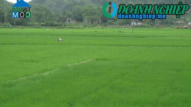 Image of List companies in Son Binh Commune- Hon Dat District- Kien Giang