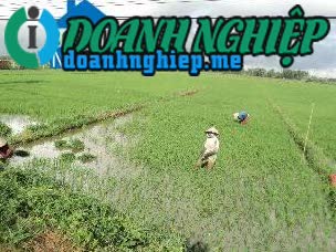 Image of List companies in Thanh Dong B Commune- Tan Hiep District- Kien Giang