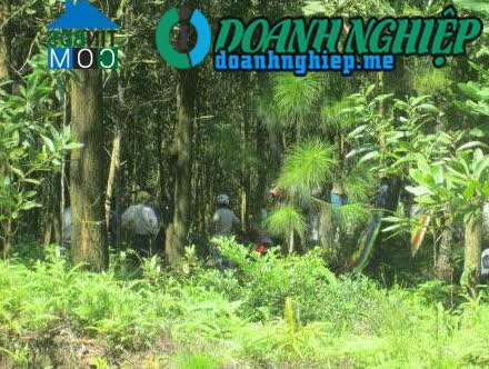 Image of List companies in Dak Nhoong Commune- Dak Glei District- Kon Tum