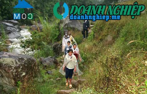 Image of List companies in Muong Hoong Commune- Dak Glei District- Kon Tum