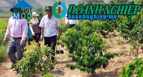 Image of List companies in Xop Commune- Dak Glei District- Kon Tum