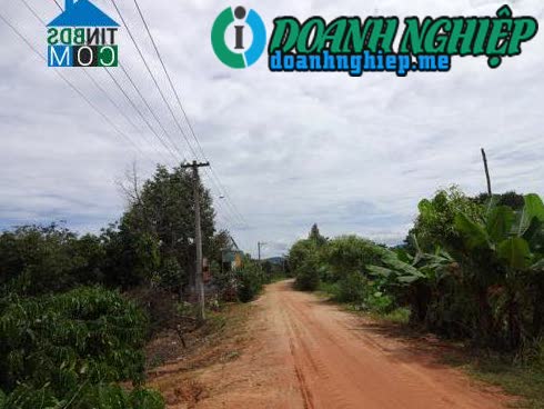 Image of List companies in Dak Mar Commune- Dak Ha District- Kon Tum