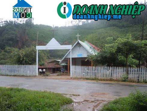 Image of List companies in Dak Long Commune- Dak Glei District- Kon Tum