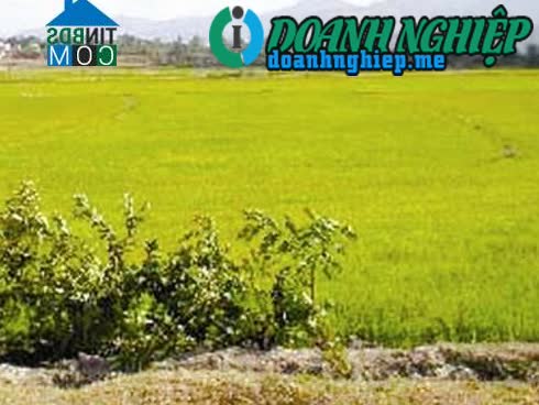 Image of List companies in Dak Bla Commune- Kon Tum City- Kon Tum