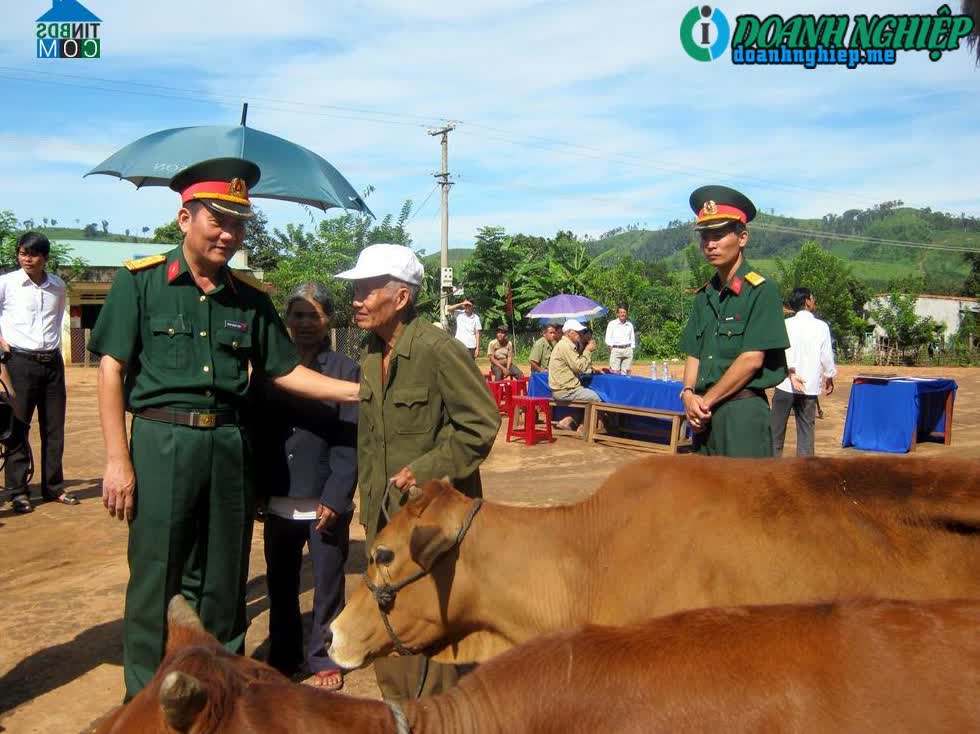 Image of List companies in Ngok Reo Commune- Dak Ha District- Kon Tum