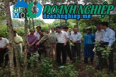 Image of List companies in Dak Ro Nga Commune- Dak To District- Kon Tum