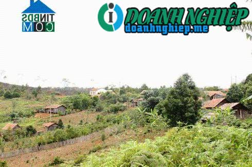 Image of List companies in Mang Canh Commune- Kon Plong District- Kon Tum
