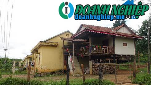 Image of List companies in Ho moong Commune- Sa Thay District- Kon Tum